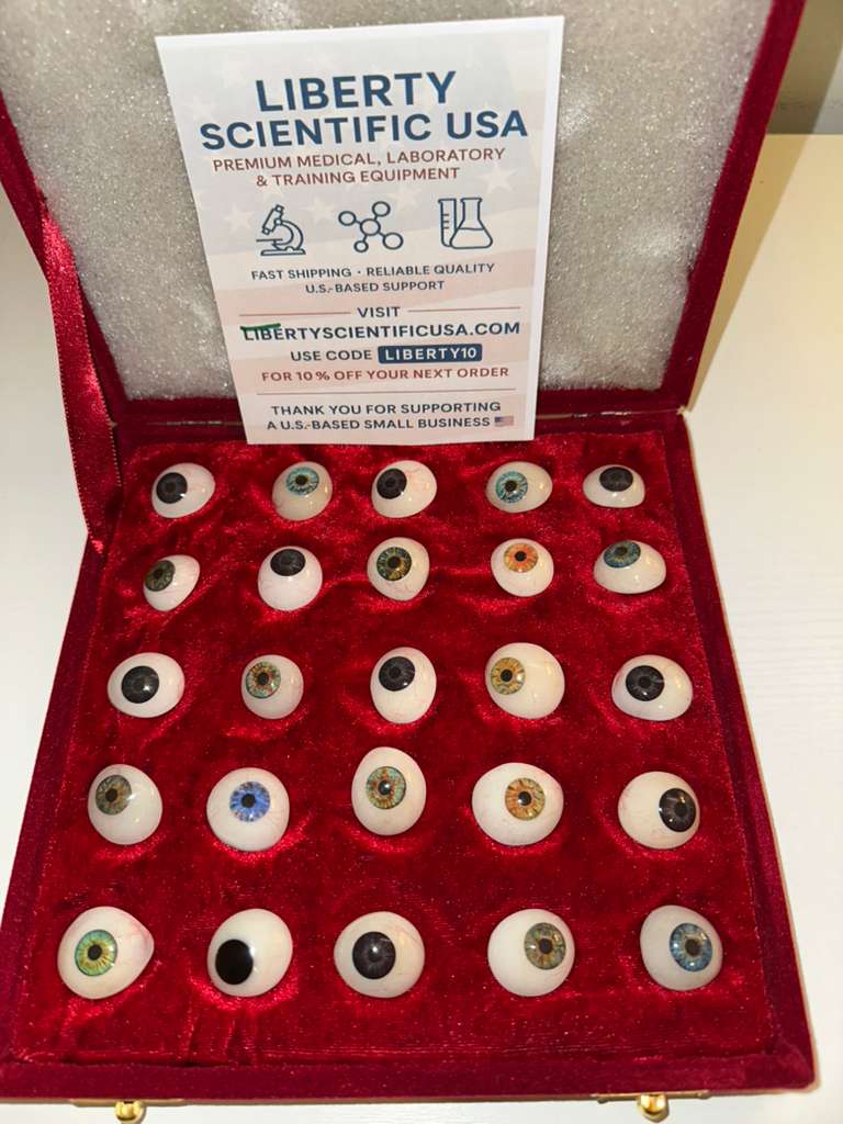 50 pc mix Human Prosthetic Eyes all different Size SHIP from USA Fall 2025 stock