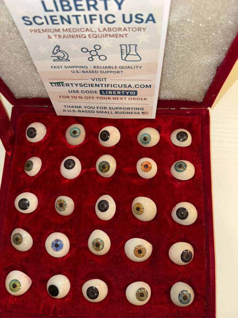 50 pc mix Human Prosthetic Eyes all different Size SHIP from USA Fall 2025 stock