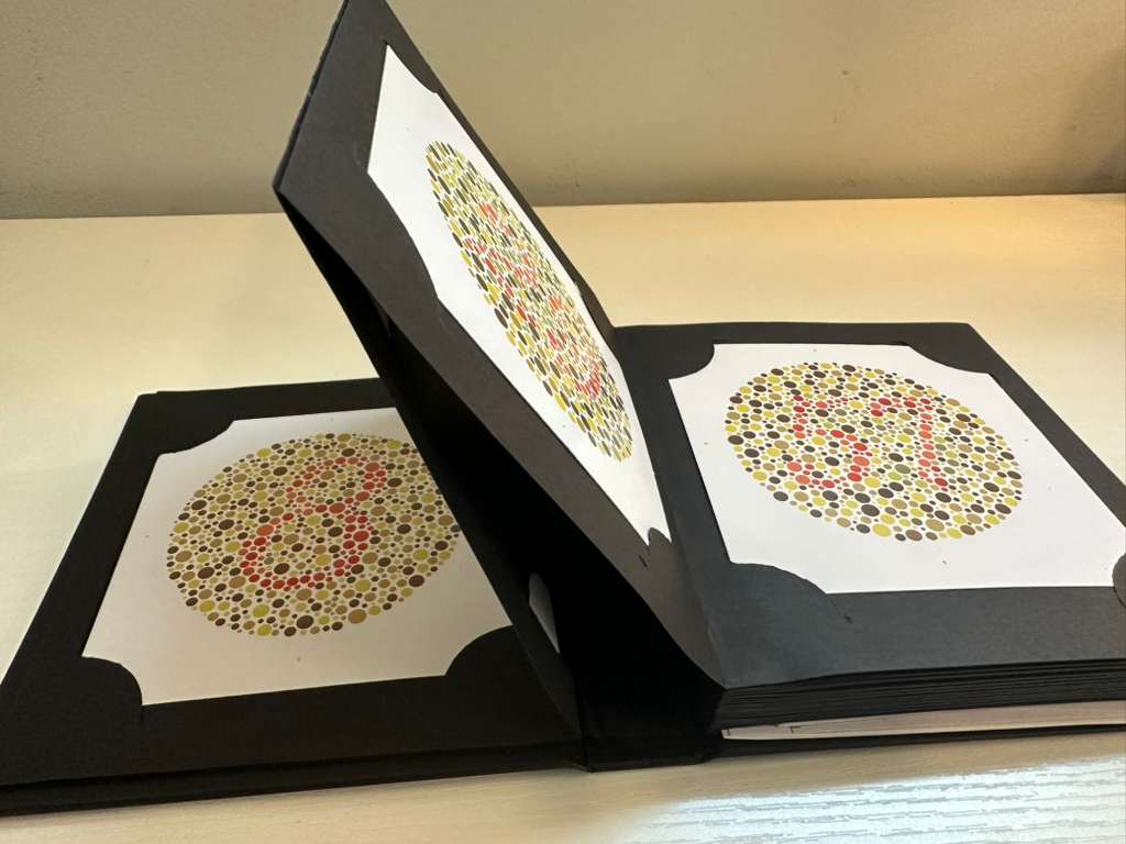 38 PLATES ISHIHARA TEST BOOK OPTOMETRY & COLOR BLINDNENESS | Ophthalmology